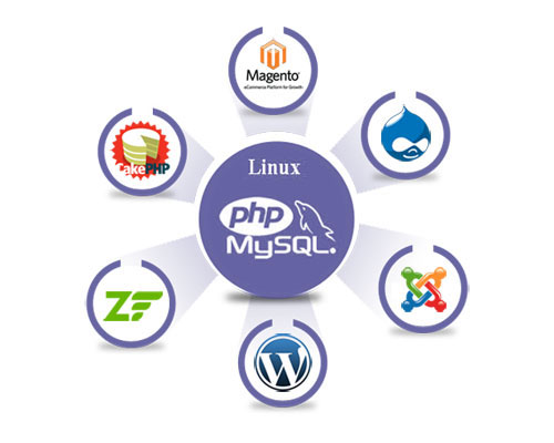 webdevelopmentcompanyinindia